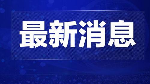 爆料热点今日热点新闻回放,揭秘爆料热点，回顾最新新闻动态