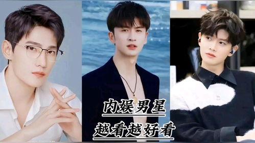 娱乐圈爆料y姓男星小说,娱乐圈背后的爱情秘辛